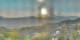 Vöran 01.05.2025 20:35