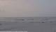 Nes (Ameland) 08.06.2025 20:31