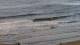 Wenduine 15.07.2025 20:34