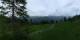 Luchsingen 14.06.2025 20:31