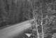 Ironton, Colorado 30.04.2025 20:36