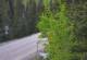 Ironton, Colorado 08.06.2025 20:36
