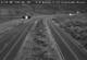 Dotsero, Colorado 30.04.2025 20:38