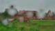 Malbork 16.07.2025 20:35