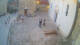 Jelsa (Hvar) 20.06.2026 20:35