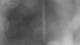 Henne 27.10.2026 20:34