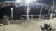 Placida, Florida 30.04.2025 20:53