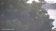 Nigran 29.04.2025 20:50