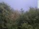 Herdecke 21.05.2025 20:50