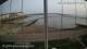 Brightlingsea 29.04.2025 20:51