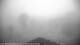 Nellysford, Virginia 06.07.2025 20:48