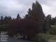 Son en Breugel 14.06.2025 21:46