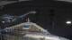 Norwegian Jewel 08.06.2025 21:46