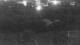 Kagoshima 09.06.2025 21:46