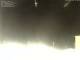 Deiva Marina 29.04.2025 21:52