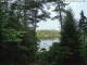 Hoel Pond, New York 13.07.2025 21:58