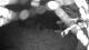 Averill Park, New York 18.03.2025 21:53
