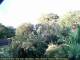 Audley 03.07.2025 21:53