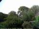 Audley 09.05.2025 21:53