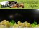 Spitz (Wachau) 10.05.2025 21:54