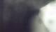 Buchanan, Virginia 29.04.2025 21:58