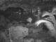 Quart-A-Nancy Point 10.05.2025 21:54