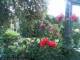 Cuxhaven 01.07.2025 21:54