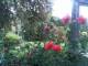 Cuxhaven 03.07.2025 21:54