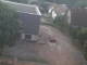 Rehborn am Glan 08.06.2025 21:54