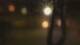 Madisonville, Texas 09.07.2025 21:06