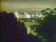 Linley Point 30.06.2025 21:54