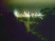 Linley Point 02.07.2025 21:54