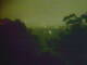 Linley Point 12.06.2025 21:54