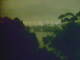 Linley Point 10.05.2025 21:55