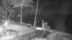 Napili, Hawaii 08.06.2025 21:55