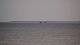 Andernos-les-Bains 30.04.2025 21:57