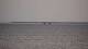 Andernos-les-Bains 29.04.2025 21:57
