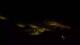 Saint-Jean-d'Arves 29.04.2025 21:57