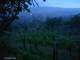 Feuerbach 18.05.2025 21:58