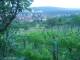 Feuerbach 14.06.2025 21:58