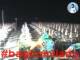 Cesenatico 14.07.2025 21:47