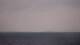 Saint-Gildas-de-Rhuys 05.05.2026 21:08