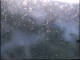 Gottinga 03.07.2025 21:47