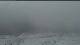 Spitsbergen - Ny-Ålesund 10.05.2025 21:01