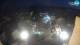 Pakoštane 09.07.2025 21:01