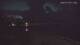 Bokeelia, Florida 14.07.2025 21:13