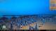 Francavilla al Mare 14.06.2025 21:02