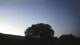 Bad Frankenhausen 30.04.2025 21:03
