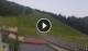 Folgaria 08.06.2025 21:04