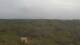Moliets-et-Maa 14.06.2025 21:06